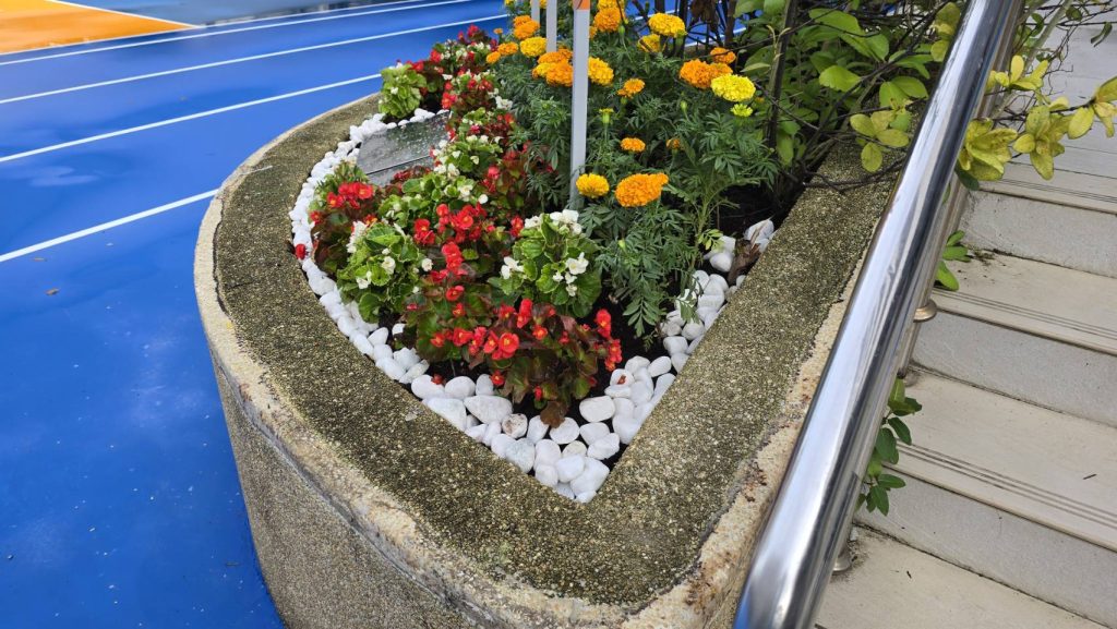 小田園與校園綠化