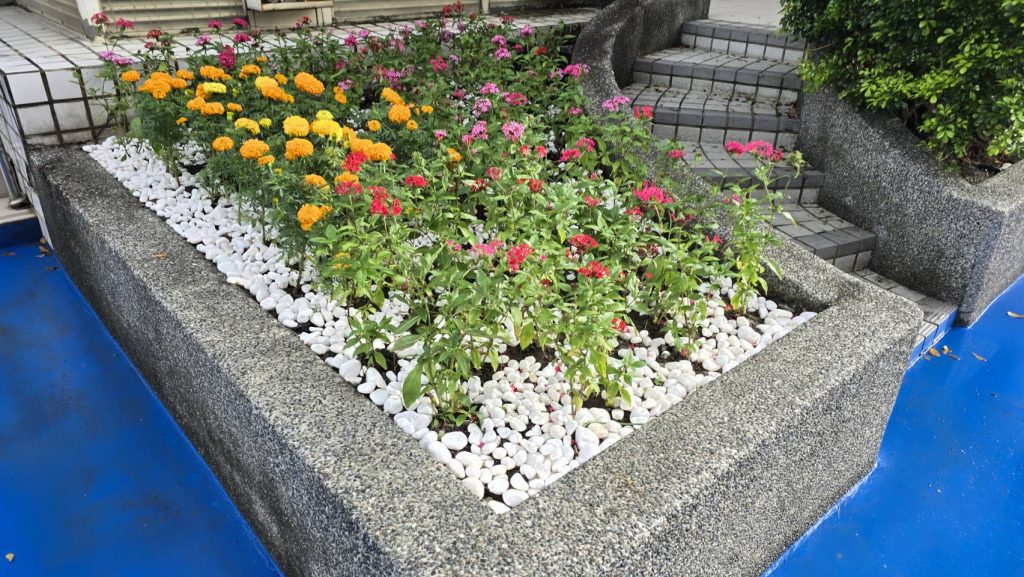 小田園與校園綠化