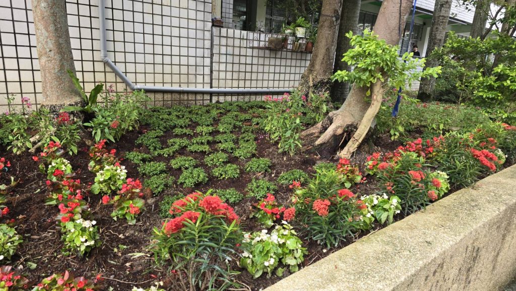 小田園與校園綠化