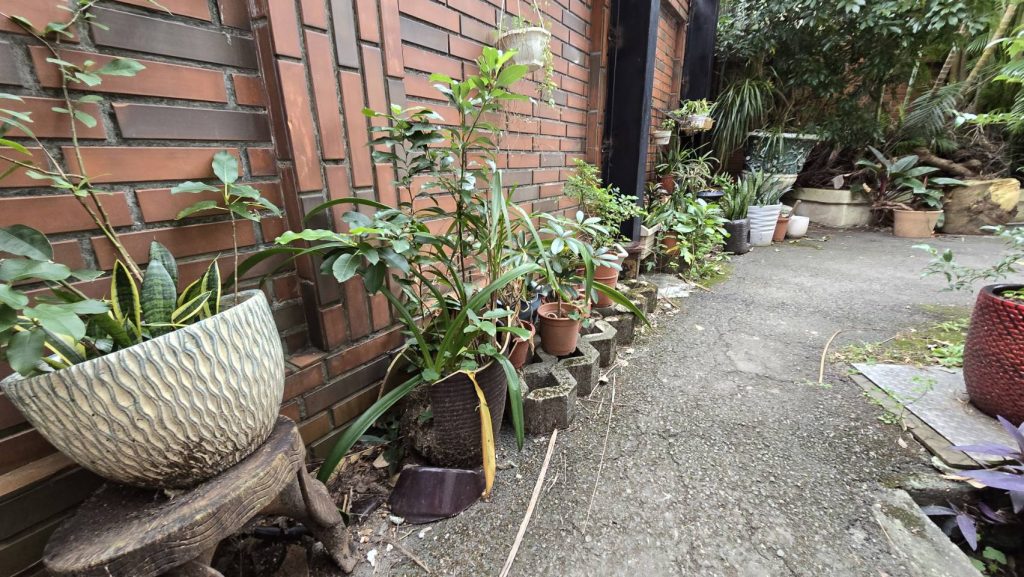 小田園與校園綠化