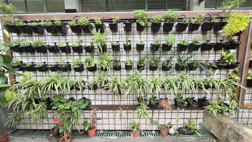 小田園與校園綠化