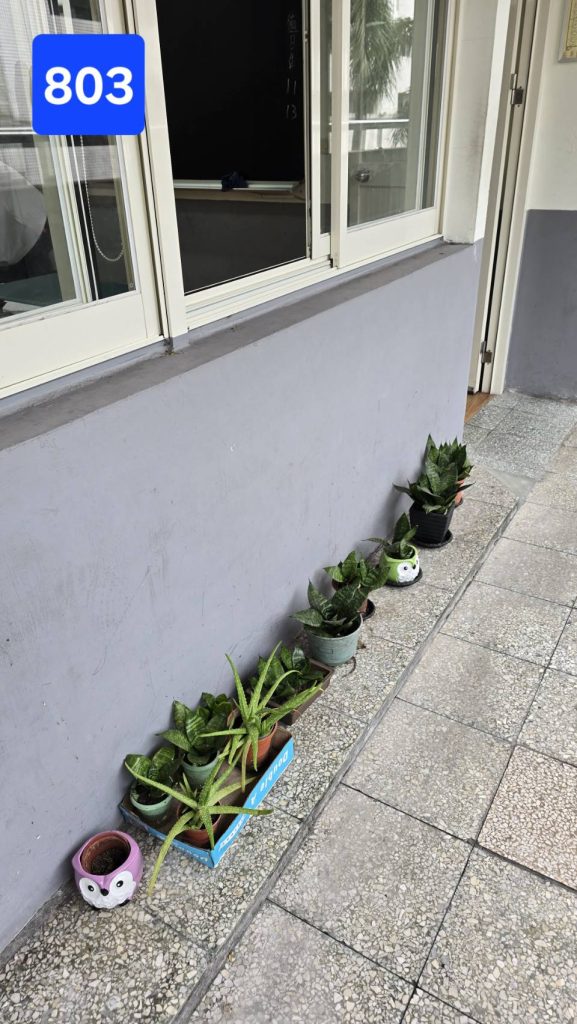 班際綠化美化比賽