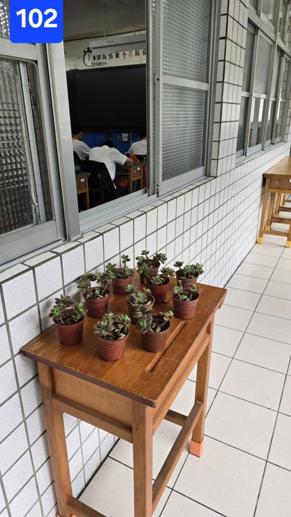 班際綠化美化比賽