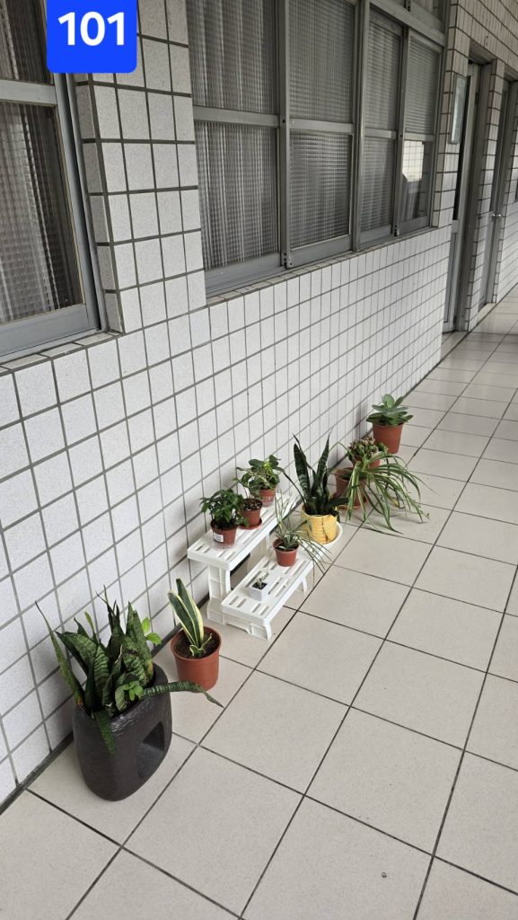 班際綠化美化比賽