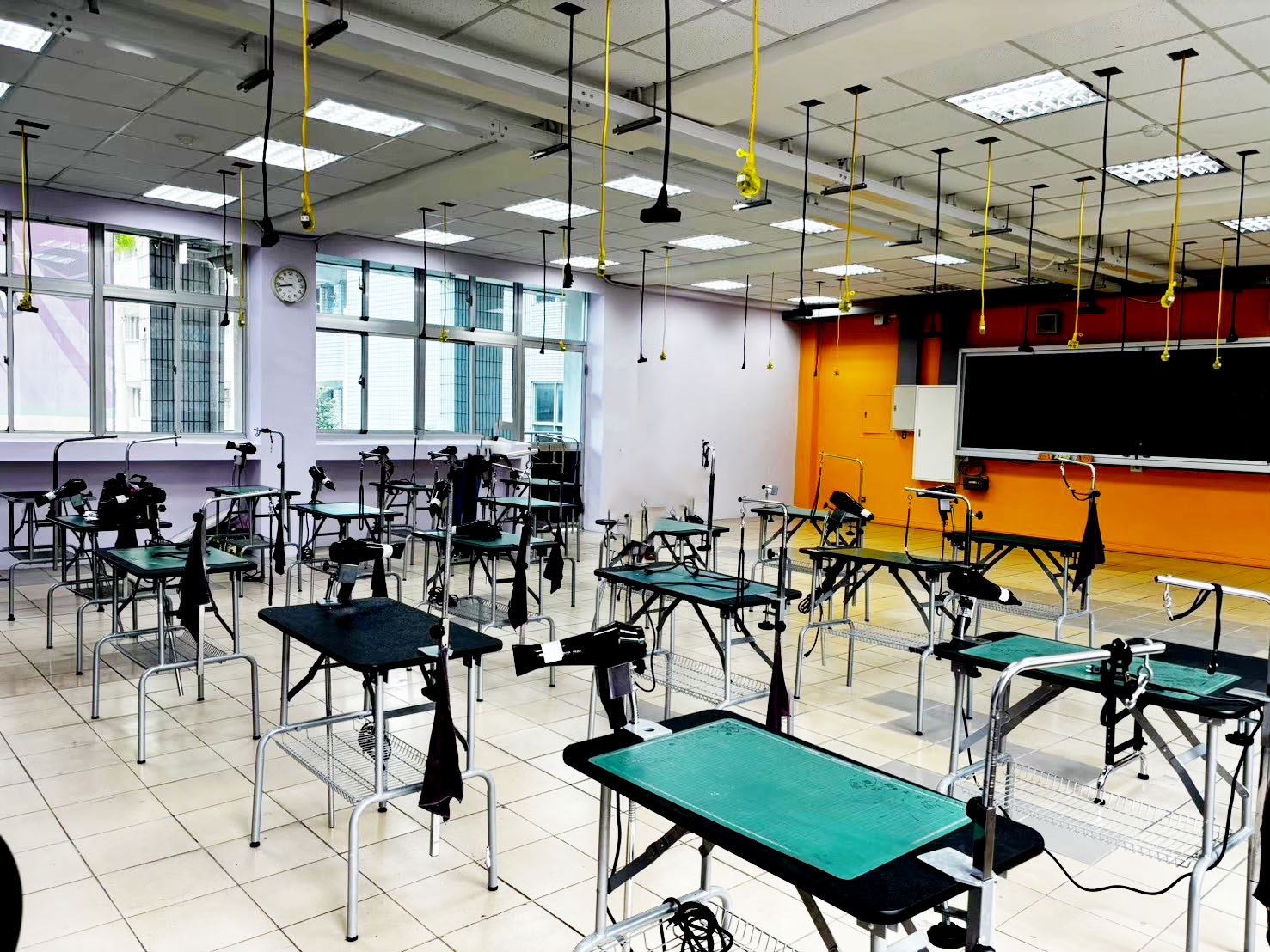 寵物4專業設備 (1)