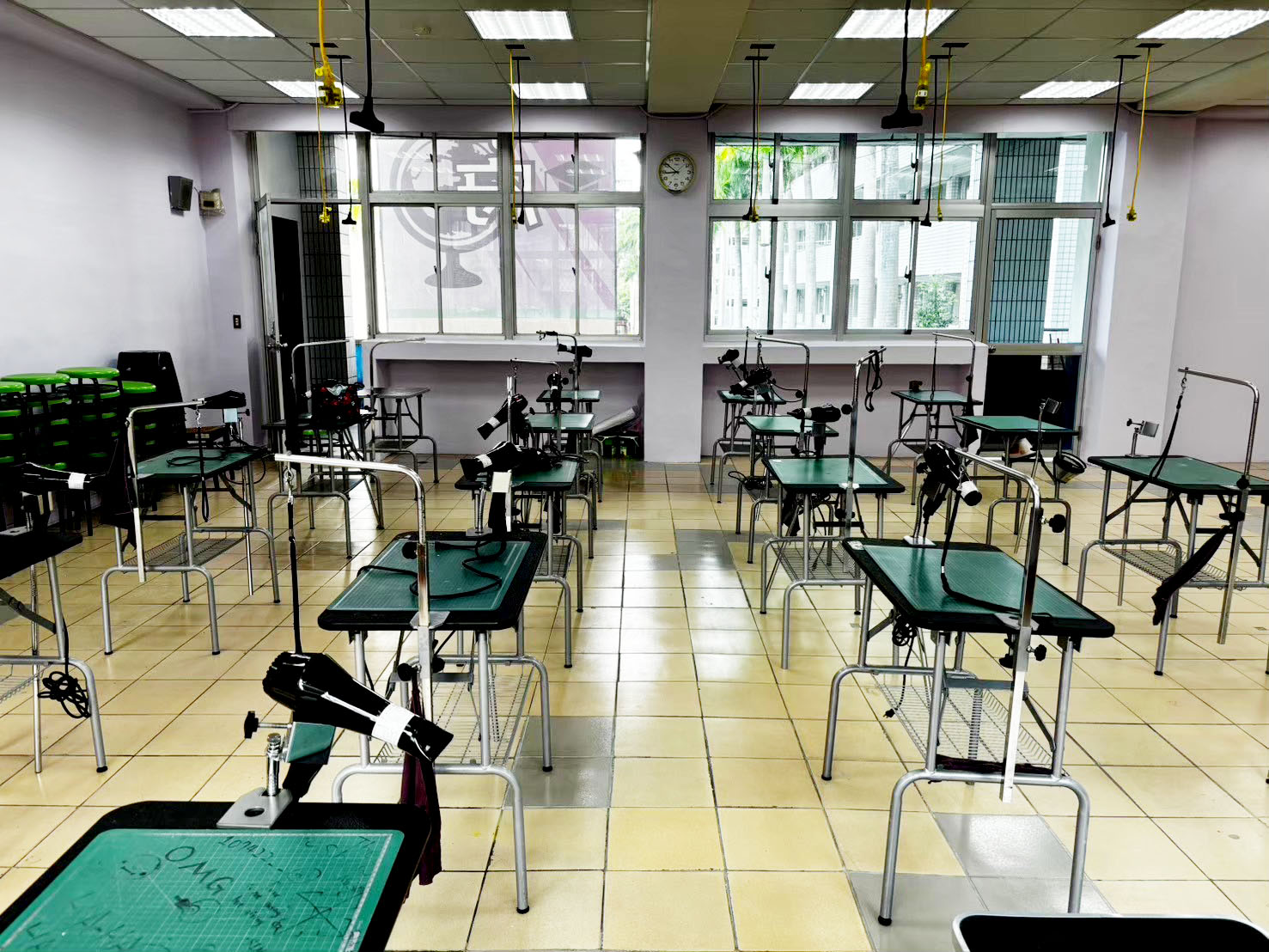 寵物4專業設備 (2)